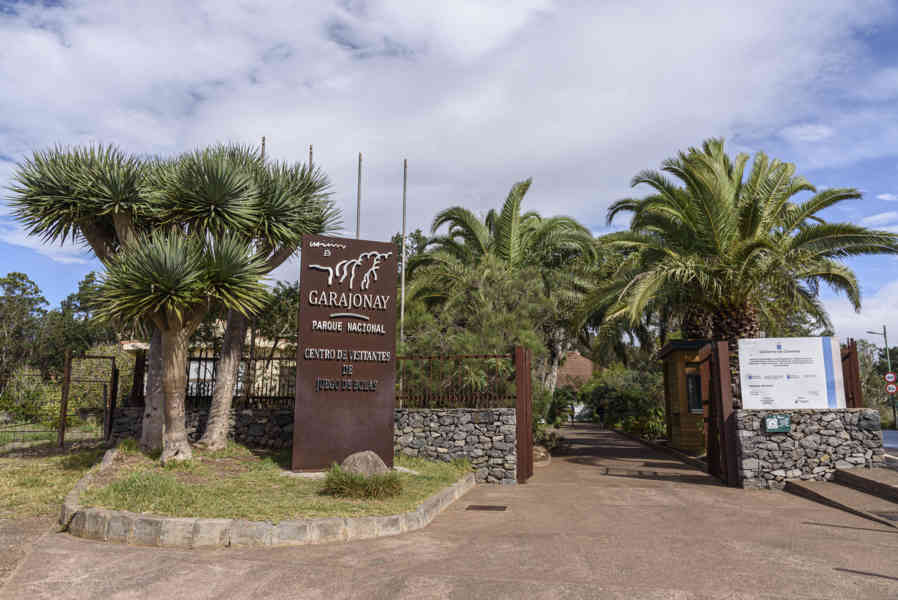 La Gomera 17 - parque nacional de Garajonay .jpg